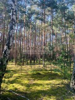 Działka pod rekreację 2552 m2 Wilga Ośrodek