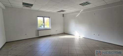 Przestronny lokal biurowy, wynajem.