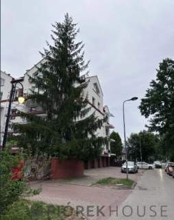 3-pokojowe mieszkanie na Białołęce