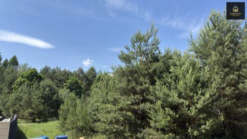 Cisza natura woda prąd światłowód MPZP Kampino
