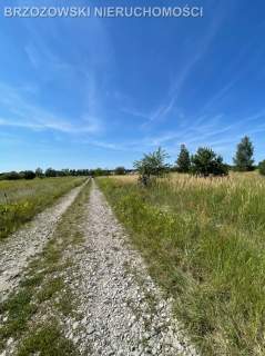 Wilanów, Powsin 3829, mieszkaniowa bliźniacza