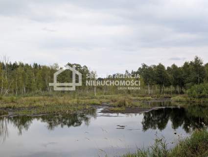 Działka siedliskowa 100.358m2, Jaroszewy/Skarszewy