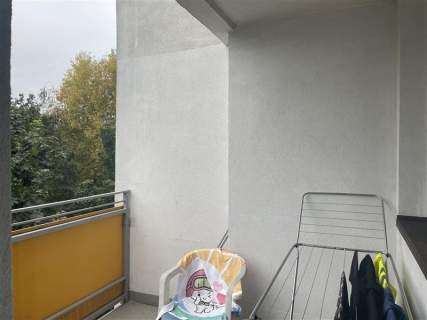 Szczepin/Czarnieckiego/3 pokoje/rozkład/piwnica