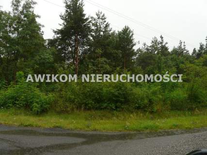 Działka budowlana na sprzedaż, 5561 m2, Skierniewice