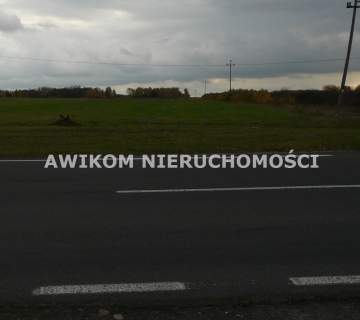 Działka rolna na sprzedaż, 58340 m2, Lisowola