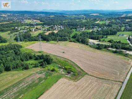 1,24 ha gruntu za 120 tys. zł Gołuchowice - gmina Skawina