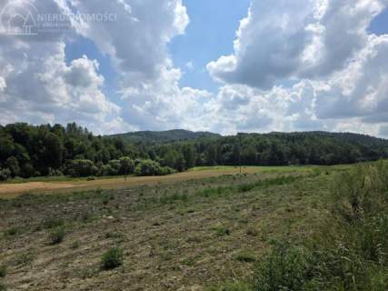 UROKLIWA DZIALKA 1,10 HA W JODŁOWEJ - OTOCZONA NATURĄ, Z P
