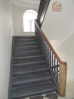 Nawrot 56, Widzew, kawalerka pet friendly