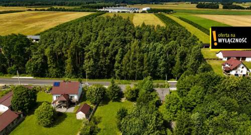 Siedlisko w Potoku 3,78 ha z domkiem wokół lasów