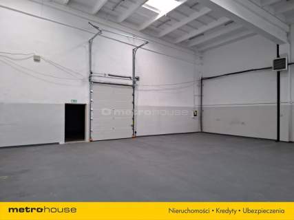 Wynajem hali w Toruniu o powierzchni 1518,4 m2.