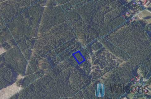 Działka rolna 3010 m2 / Opaleniec / Chorzele