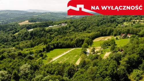 Działka 90 ar z Wz Olszowa, TANIO 