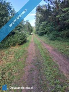 Działka budowlana, przy lesie, na sprzedaż, 800m2, 12 km od Kielc,...