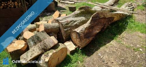 Sprzedam drewno. SUCHE. 190 zł/m3 SOLINA