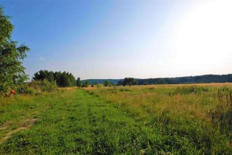 Działka 1000 m2