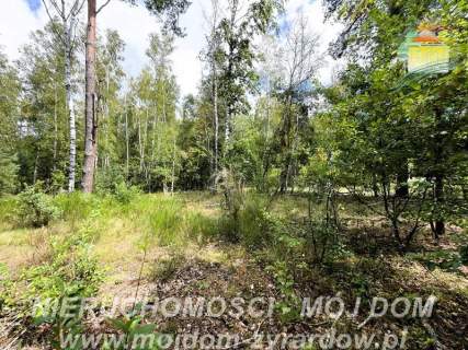 Działka rolno-leśna w Petrykozach - 16 975 m2