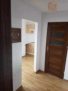 Fołtyn 3, Gołębiów, studio przyjazne dla zwierząt 