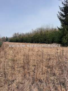 Działka inwestycyjna na sprzedaż, 43467 m2, Powązki