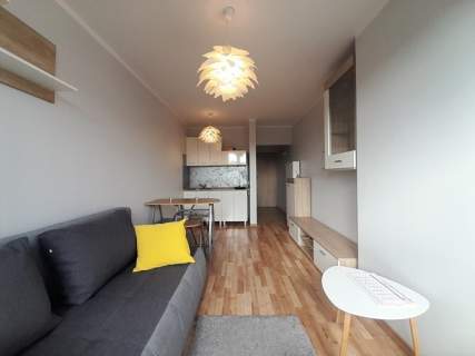 Czapliniecka 44E, Bełchatów, słoneczne studio