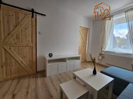Przytulne 2 pokoje, pet-friendly - 11 Listopada115