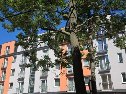 Kraków Wrocławska / Kijowska / hit