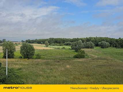 1,59 ha nad Nogatem Twoje miejsce na Żuławach