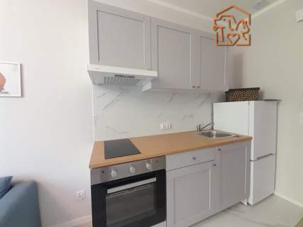2 pokoje, pet-friendly - Kołłątaja 42