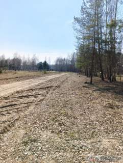 Działka budowlana przy lesie Leontyna
