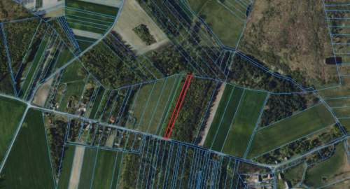 Działka 3000 m2 w otoczeniu zieleni Marianek, gmina Gorzkowice...