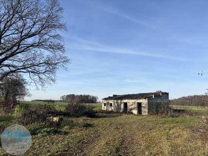 Ponad 6 ha ziemi idealne pod siedlisko, agroturystykę, st