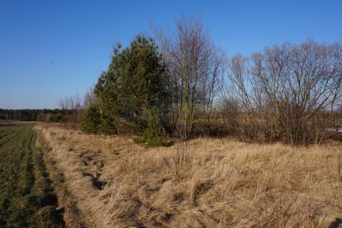 Budowlana 2300m2 reszta rolna