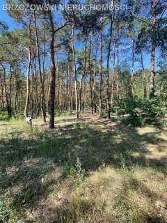 Marysin Wawerski, 1100 m2, MPZP, mieszkaniowa