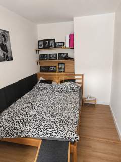 centrum Wrocławia 3 pok balkon pod wynajem