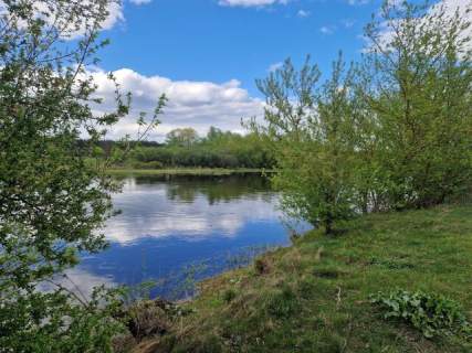 Działki z widokiem na Narew Nowogrodzie