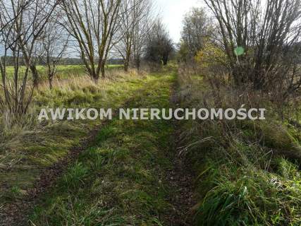 Działka rolna na sprzedaż, 162570 m2, Wycześniak