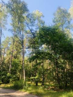 Działka pod rekreację 2552 m2 Wilga Ośrodek