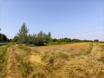 Działka budowlana Tarnów, ul. Cedrowa