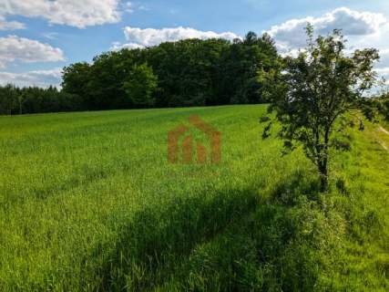 Ropczyce TYLKO 2 TAKIE działki ul. Leśna