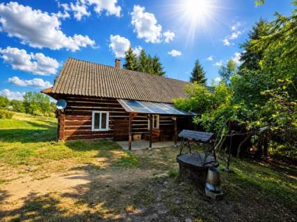Siedlisko w Orzechówce