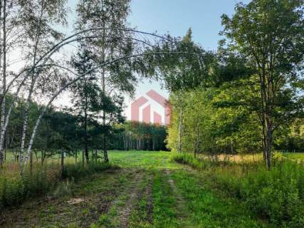 Działki budowlane lesie - Zarezerwowane