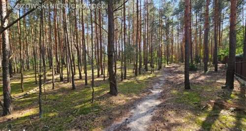 Hornówek, 1480 m2, MPZP, mieszkaniowa