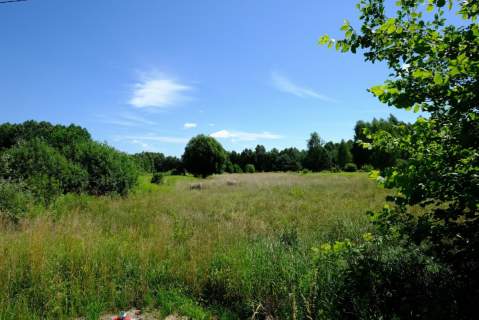 UNIKAT - Dom przy granicy KPN - Kampinos