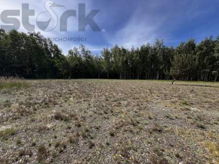 Urokliwa działka 2,54 ha przy Bolimowskim Parku Krajobrazowym