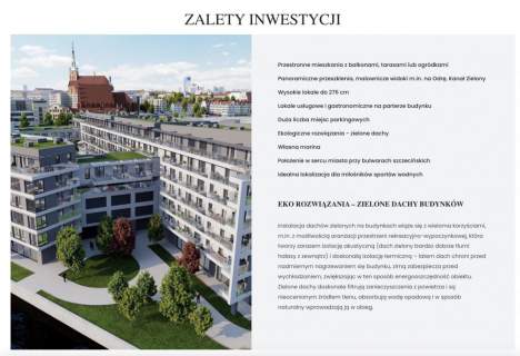 Inwestycja na Wyspie Łasztownia, Widok na Odrę