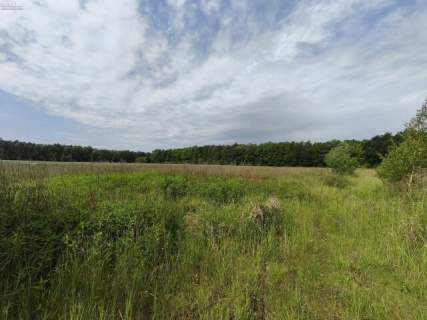 DZIAŁKA BUDOWLANA 1059 m2 NIEBOROWICE BLISKO GLIWIC CICHA I 