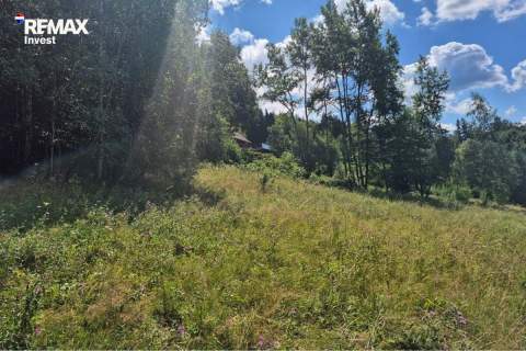 Cisza, las i górski klimat