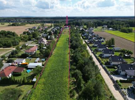 Dom 117,80 m , działka 1,77 ha, Adamów, Bełchatów