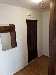 Fołtyn 3, Gołębiów, studio przyjazne dla zwierząt 