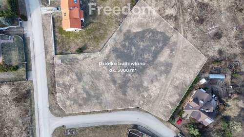 Rezerwacja Las Miejski, ul. Spacerowa