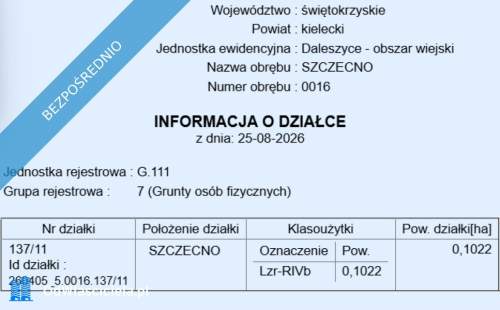 Działki w otoczeniu lasów